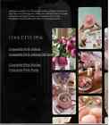 8 000  4k  Reels Luxury Video Bundle Upgrade Your Social Media Content With