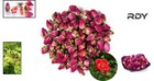 Fragrant 4 Oz Dried Red Rose Buds   Petals - Perfect For Tea And Diy Projects