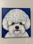 Bichon Frise  8 x 8   Unframed Painting    Ann Hedberg Art 