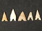Lot Of Five  Ancient Tidikelt Arrowhead S Or Bird Points 7 42