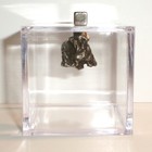 Meteorite And Display Cube 9 9 Gram Genuine Campo Del Cielo Meteorite With Coa