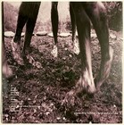 Pearl Jam - Vs   current Pressing  Lp Vinyl Record Album  brand New Sealed 