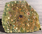 Rainforest Jasper Rhyolite Australia 5 5 x4 75 Jasper Agate Lapidary Rough Slab