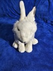 Webkinz Signature Arctic Hare Bunny Rabbit No Code  10 