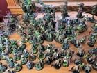 Warhammer Age Of Sigmar Maggotkin Of Nurgle Massive Army Painted  pick A Unit 