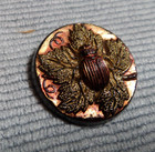 Vintage Antique Black Glass Luster Carved Picture Button Bug On A Leaf