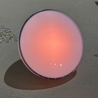Needs Charger Phillips Hue Go Portable Lamp
