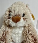 Melissa And Doug Burrow Bunny Rabbit 9 Inch Stuffed Animal New Plush 9x6x10