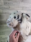 Huge White Tiger Plush Snow Leopard Cat 2005 Kids Preferred Stuffed Animal 24 