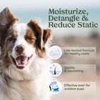 Pawfume Grooming Spray Dog Spray Deodorizer Perfume For Dogs - Dog Cologne