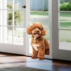 Slsy Extra Large Dog Door For Sliding Glass Door Adjustable 74 8 - 86 5  Height
