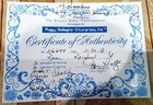  rare authenticated  Ty Beanie Baby -  rainbow  Chameleon - Error Mwnmt Mq W coa