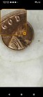 1958 D D d Lincoln Wheat Cent Penny Ddo   Double Die Reverse  Error Coin  Rare 