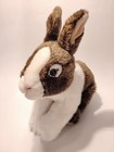 Webkinz Signature Dutch Bunny Wks1011 Retired Brown White Rabbit Plush No Code