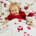 Pottery Barn Christmas Holiday Pillowcase Rudolph Heritage Santa Disney Gift  