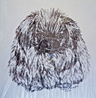 Pekingese Dog 6 Notepads 50 Sheets 8 5 X 5 5 New Black   White Drawing-new