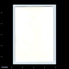 Old Vintage Photo Woman Street Vendor Standing On Stairs