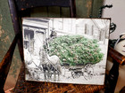 Vintage Victorian Primitive Style Christmas Horses Trees Colorized Photo Sign