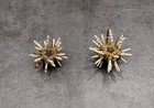 Green Sputnik Sea Urchin With Spines  2 Urchins Approx  1 5  Inches 