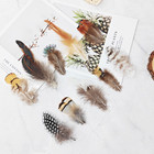 200pcs 10 Style Natural Feathers Assorted Mixed Feathers For Dream Catcher Craft