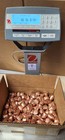 40 Lb Box Of Pure Copper Nuggets      999  Pure Bullion Metal Pounds Lot Pound