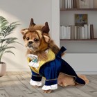 Rubies Beast Pet Costume For Dogs And Cats  Xl