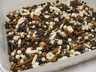 4 Pounds Assorted Water Buffalo Bone Beads   Scrap Pieces   Left Overs Bulk  z6 