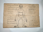 Antique Thai Medical Manuscript   Samut Khoi Drawing On Handmade Paper
