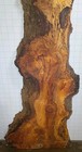 D66 Maple Burl Crotch Figure 37x14x5x1 1 2 Bird Eye Curly 