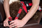 Support Pets Dog Seat Belt For Car     Adjustable Dog Safety Seatbelt Harness Fo