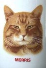 Vtg 1980s Morris The Cat Coffee Mug Papel 9 Lives Advertising Mascot Tabby Cup