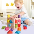 Bestamtoy Shape Sorter Toy My First Wooden 12 Building Blocks Geometry Learning