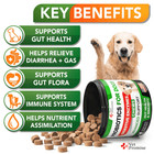 Probiotics For Dogs Digestive Enzymes For Good Health Itchy Skin 120 Chews