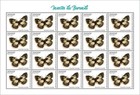 Butterflies Insects Of Burundi Mnh Stamps 2026 Burundi 5 Sheets Collection