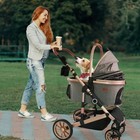 Pet Stroller With 4 Wheels  Foldable Pet Travel Carrier For Small medium Dogs