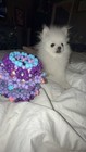 Handmade Kandi Star Rotater Cuff Pink Purple Blue Rave Edm Festival Bracelet 