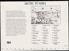 2003 Arctic Tundra 5th Nature Of America Series  Mnh Sheet 10 X 37   Stamps  3802