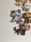 Lot Of Lps Littlest Pet Shop Imperfect Damaged Pets Collie Cat Bird