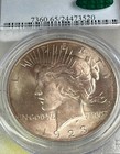 1923 Peace Dollar  1 Pcgs   Cac Ms 65 Pq  Beautiful Toning  Free Shipping