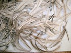 Over 500 Mixed Emu Feathers  Natural Color  2  To Over 12  Long  Art   Crafts