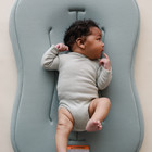  color  Slate snuggle Me Organic-infant Lounger Curve 6043