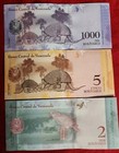 Venezuela Bolivares Set 6 Banknote World Paper Money Unc Currency Bill Note Lot