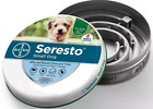 Pack Of 2 Collar For Small Dog Pets dog Collar  Protection Small Dogs New Usa