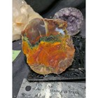 Thunderegg Unique Multicolored W  Inclusions Slab Specimen  8 3oz 