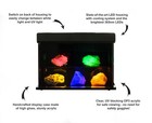 Globox Mini Fluorescent Mineral Display