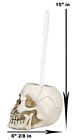 Macabre Grinning Skull Cranium Toilet Brush   Base Holder Bathroom 2 Piece Set