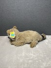 Vintage Nature Babies Dakin Raccoon Plush Raisin 20   l Realistic Shaggy Toy 1981