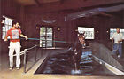 1976 Md Salisbury Thoroughbred Horse Laps In Pool Winter Place Farm Postcard D45