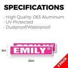 Emily Street Sign  2 Pack  Childrens Name Room Metal Road Sign