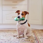 Plush Dog Toy Puppy Toy Dogs Toys Pet Dog Sound Toy Dog Toys Small Dogs